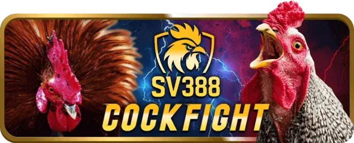 Khuyến mãi chào mừng dành cho người chơi Slot game mới